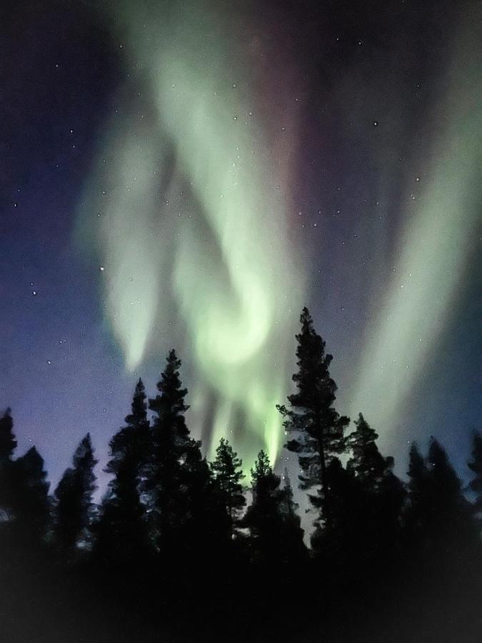 Levi Sensu - Levi Sky Igloos Villa Sirkka Buitenkant foto