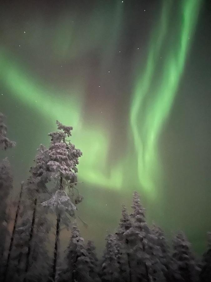 Levi Sensu - Levi Sky Igloos Villa Sirkka Buitenkant foto